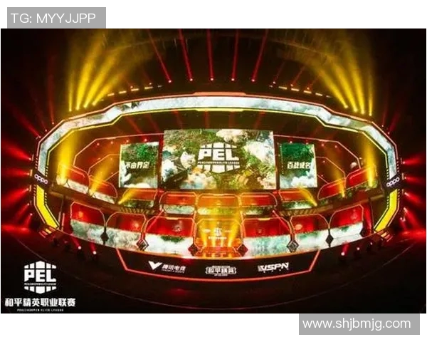 聚焦和平精英WE战队的灵活战术与应变能力探讨