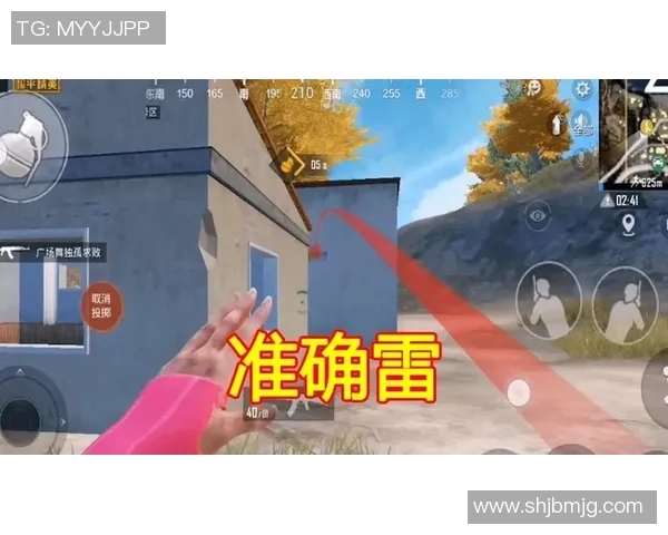 和平精英焦点FPX灵活性分析及其对战术策略的影响探讨 和平精英焦点FPX灵活性分析及其对战术策略的影响探讨